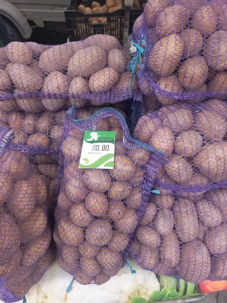 Цены на ярмарке выходного дня: свежие продукты по доступным ценам Цены на ярмарке выходного дня: свежие продукты по доступным ценам