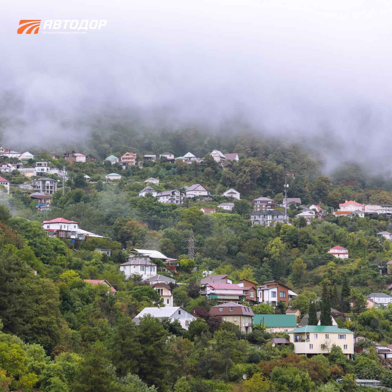 В Сочи сезон цветения косточковых В Сочи сезон цветения косточковых