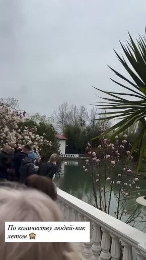 В «Южных культурах» сейчас не протолкнуться!