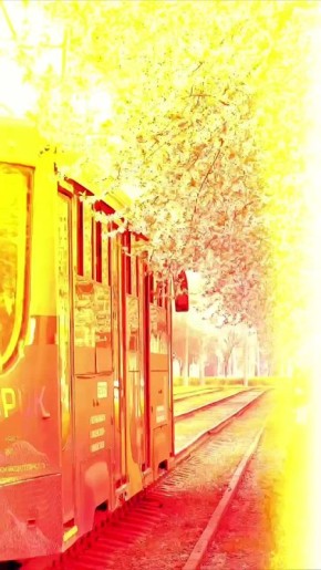 ������� �����. ��� ���������� ������: �������� ����� �������� �� �������������� ��������� ���������, ��� �������� ������ ���� ���, ��� ������� �� ����� ����� ������ �������