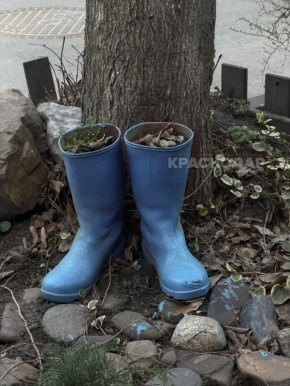 Продолжаем нашу ежедневную рубрику «Краснокадр»