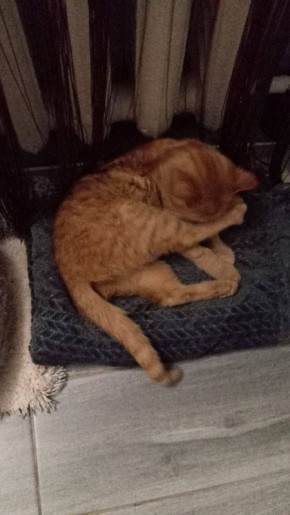 ������ ����, ������!. ��������� +15 ��