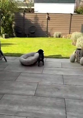 Что может быть лучше, чем в воскресенье понежиться на солнышке