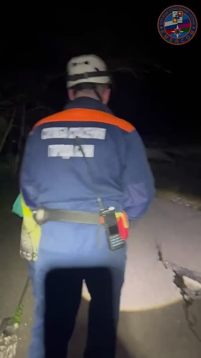 Мать с 8-летним ребёнком заблудились в лесу Сочи