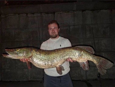 ���������� ���� ������ ����� �������� �� ������-����