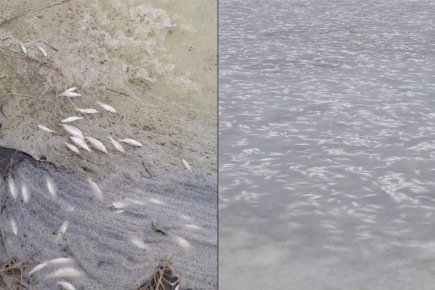 ��������� ���� ���������� ����� �������� ������ ���� � ������������ ������