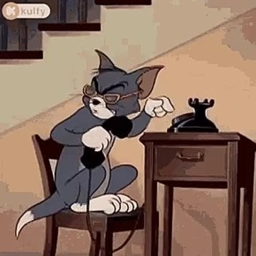 Мобильный интернет не работает, звонки не проходят: краснодарцы жалуются на проблемы со связью