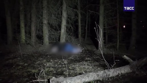 Террорист ликвидирован. Очередной пособник украинских спецслужб собирался устроить теракт в Подмосковье