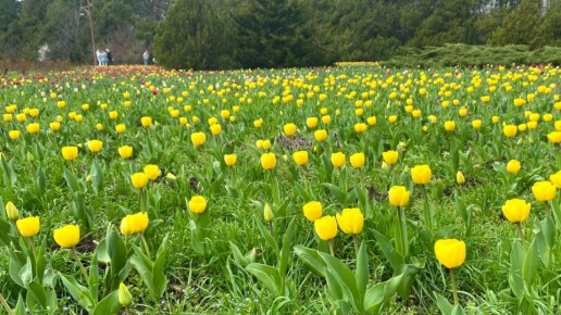 ������������, ��� �� ���� �������� ����� ����������� �������