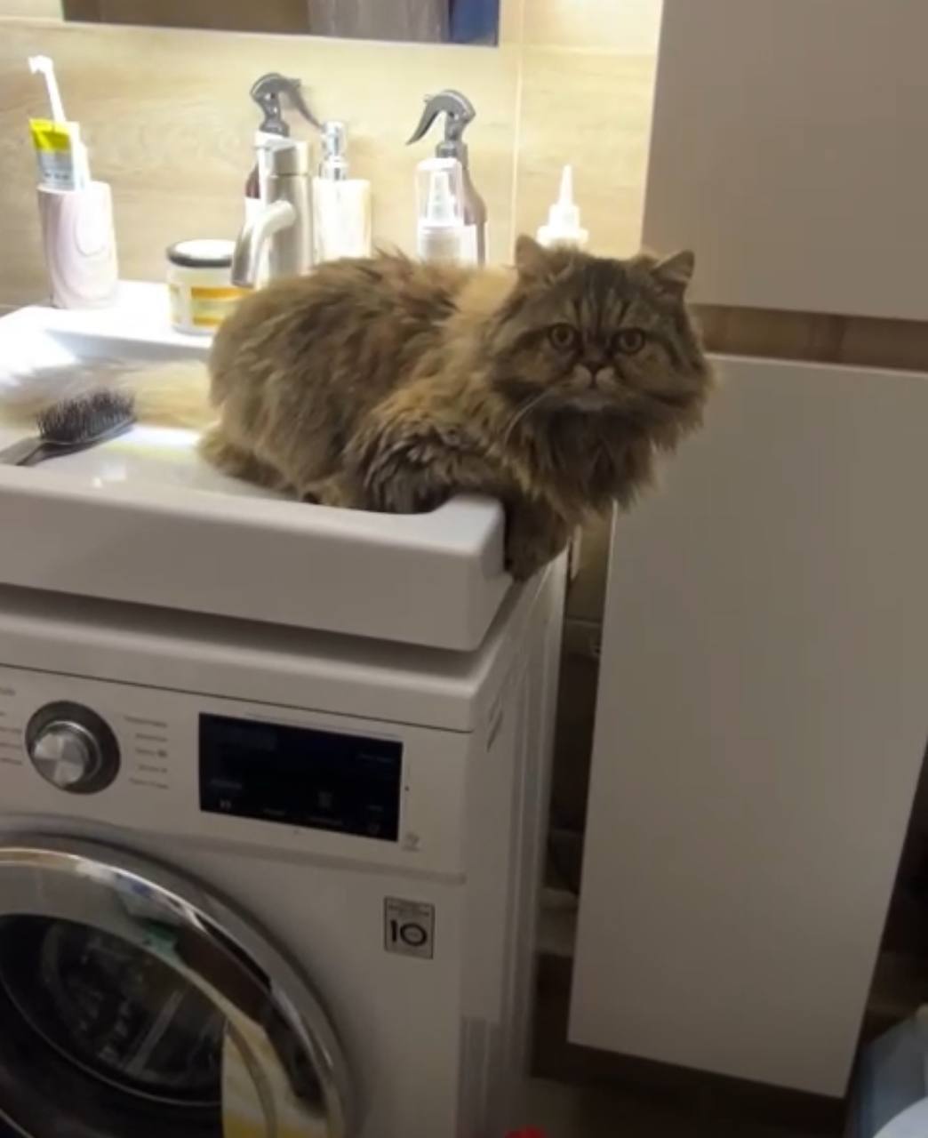 Доброе утро, Кубань!. Краснодар +13 °С Доброе утро, Кубань!. Краснодар +13 °С