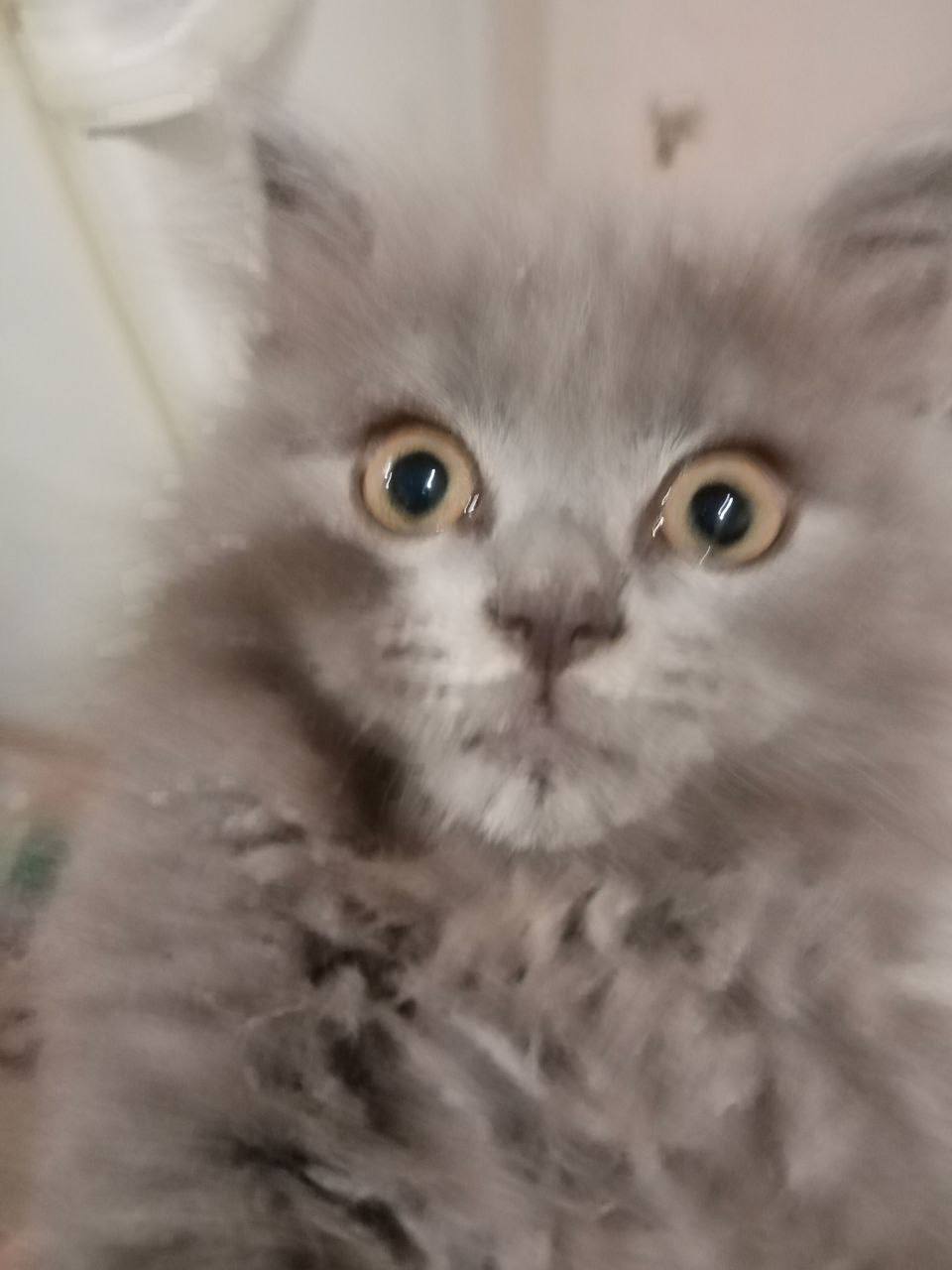 Доброе утро, Кубань!. Краснодар +13 °С Доброе утро, Кубань!. Краснодар +13 °С