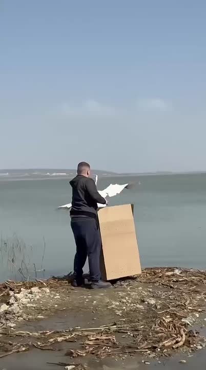 Начинаем день с хороших новостей