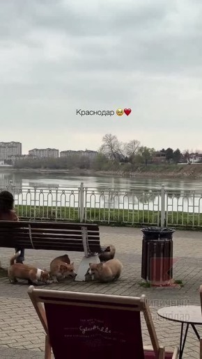 ���������� ������. ���� �������� � ������ ����� � ������� ��������� ��������� ��������� ����������, ��������� � ���� �������� ��������