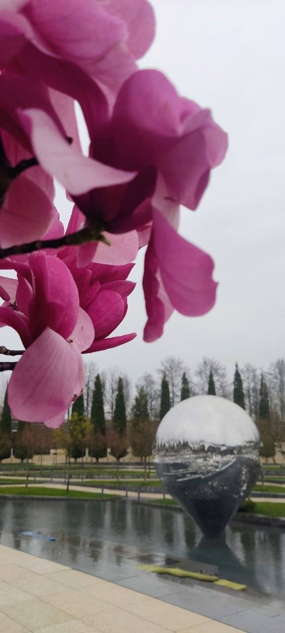 О погоде на 31 марта . В Краснодарском крае облачно с прояснениями О погоде на 31 марта . В Краснодарском крае облачно с прояснениями