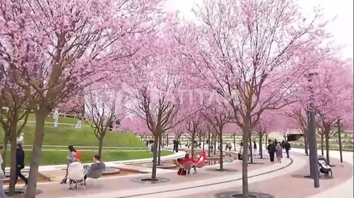 �� ������ ����� �� ����: � ���������� ������� ����� ������