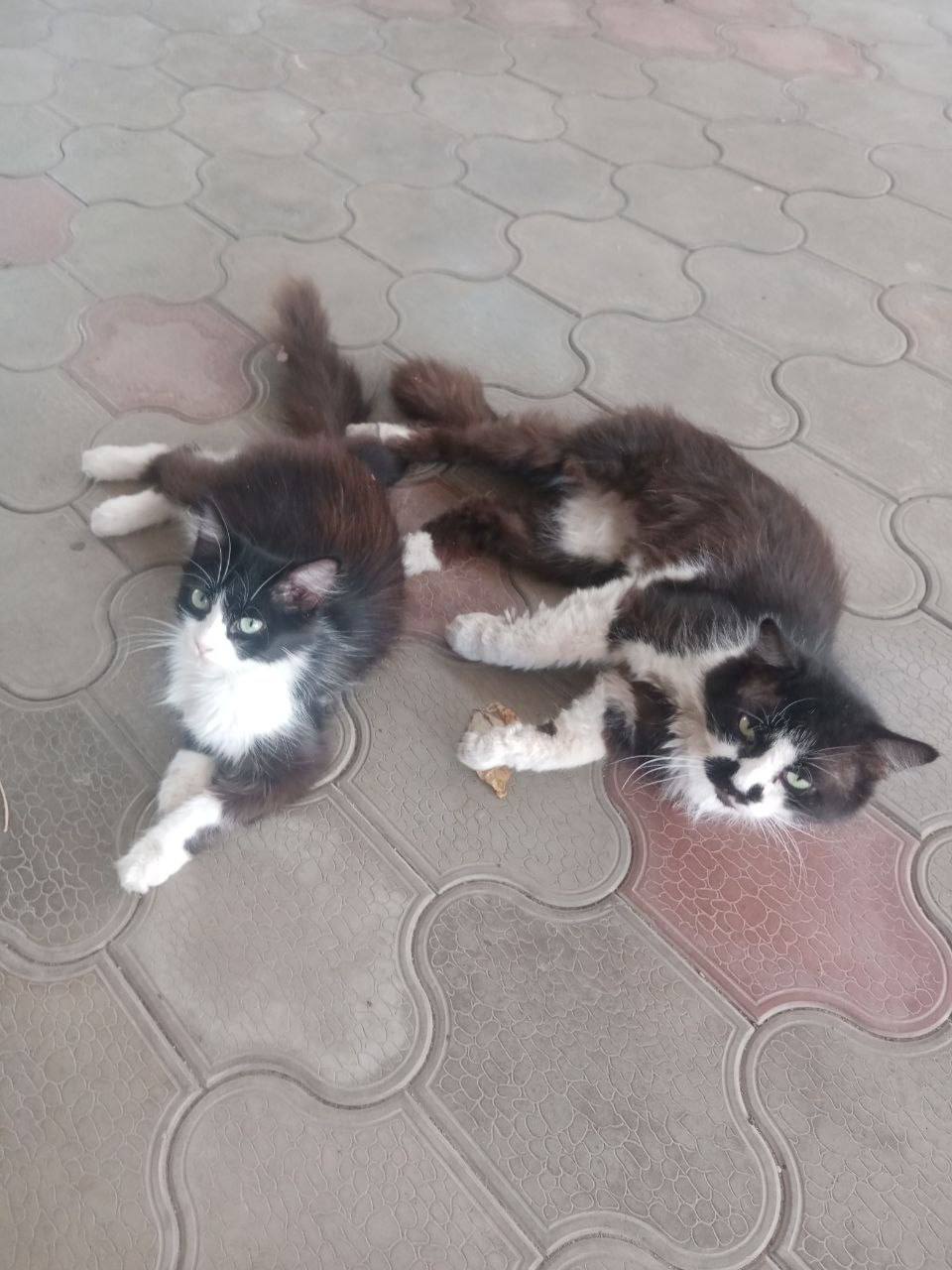 Доброе утро, Кубань!. Краснодар +13 °С Доброе утро, Кубань!. Краснодар +13 °С