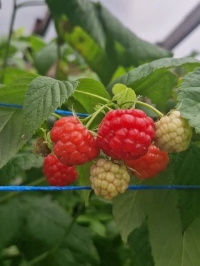 ������ ������ ������ ��� ������� � ��������� ��������!