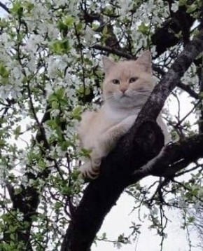 ������ ����, ������!. ��������� +13 ��