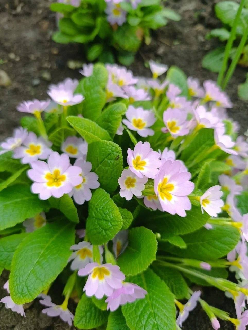 О погоде на 31 марта . В Краснодарском крае облачно с прояснениями О погоде на 31 марта . В Краснодарском крае облачно с прояснениями