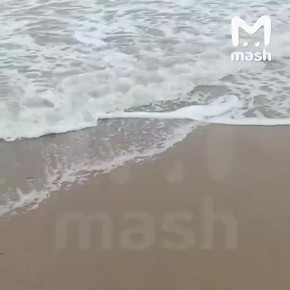 Чесаться и лежать на колючем песке придется туристам на отдыхе в Анапе — на пляжи завозят искусственное покрытие, которое сильно отличается по составу от домазутного песка