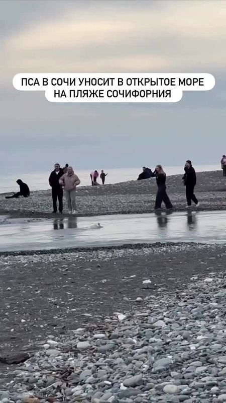 ��������� � �������. � ������ ����� ������������ ������������ ����������� ��������: ������� ������� ������ � �������� ����