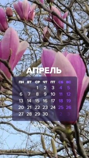 ������ ������, � ��� ������, ���� ������ �������� �� ���������!