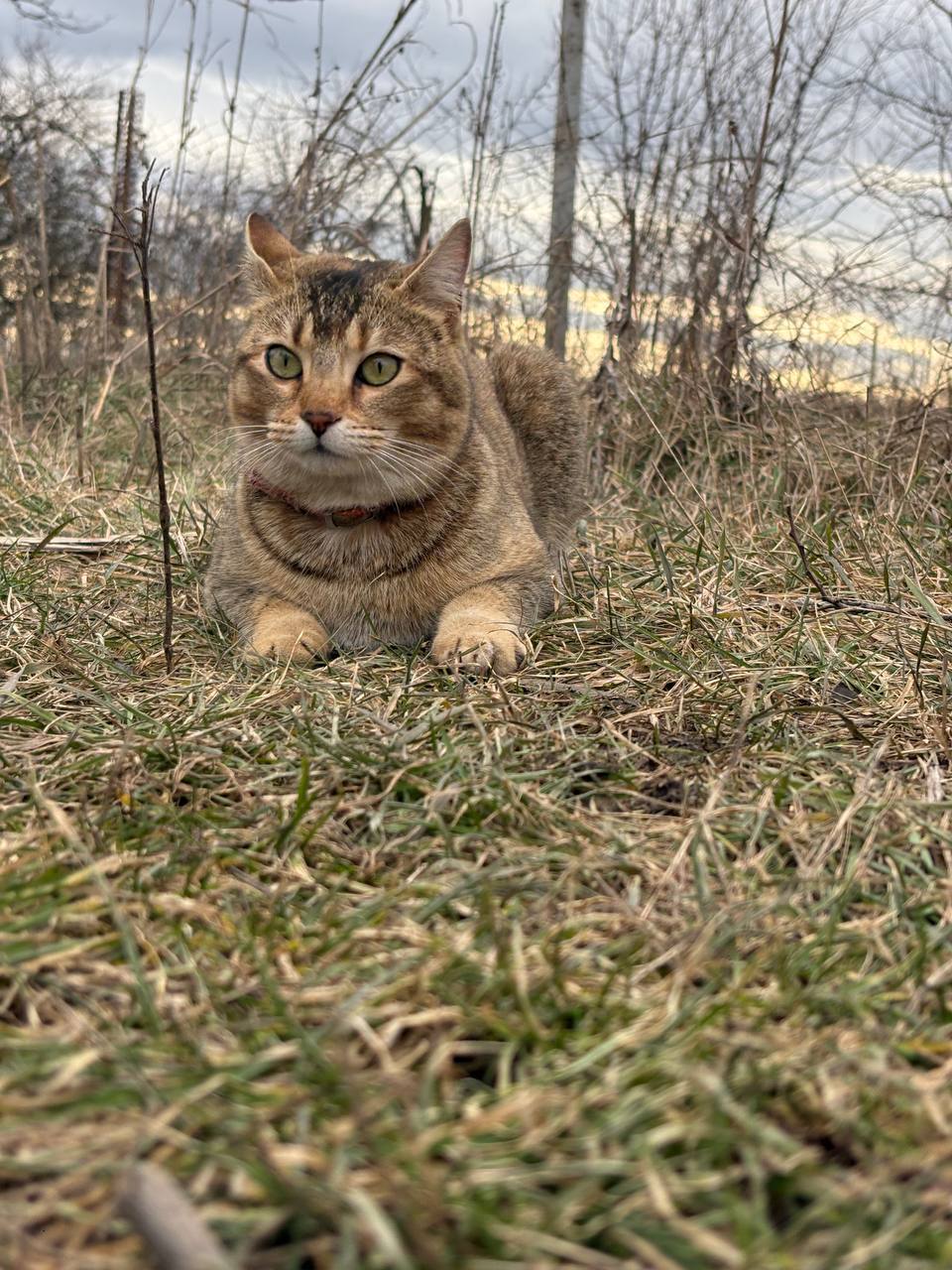 Доброе утро, Кубань!. Краснодар +16 °С Доброе утро, Кубань!. Краснодар +16 °С