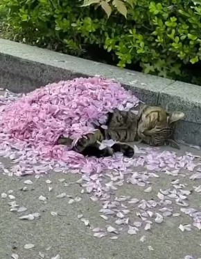 Отряхиваемся и спешим в рабочий день