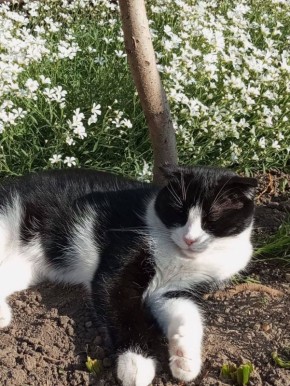 Доброе утро, Кубань!. Краснодар +16 °С