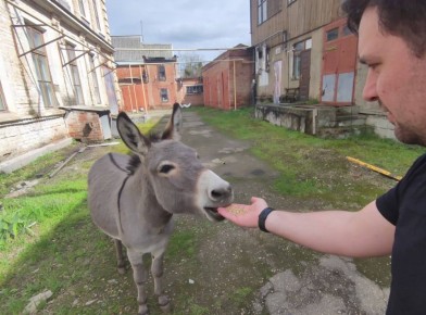 ����� ������ �� ����� � ���������� � ������ ���� ���