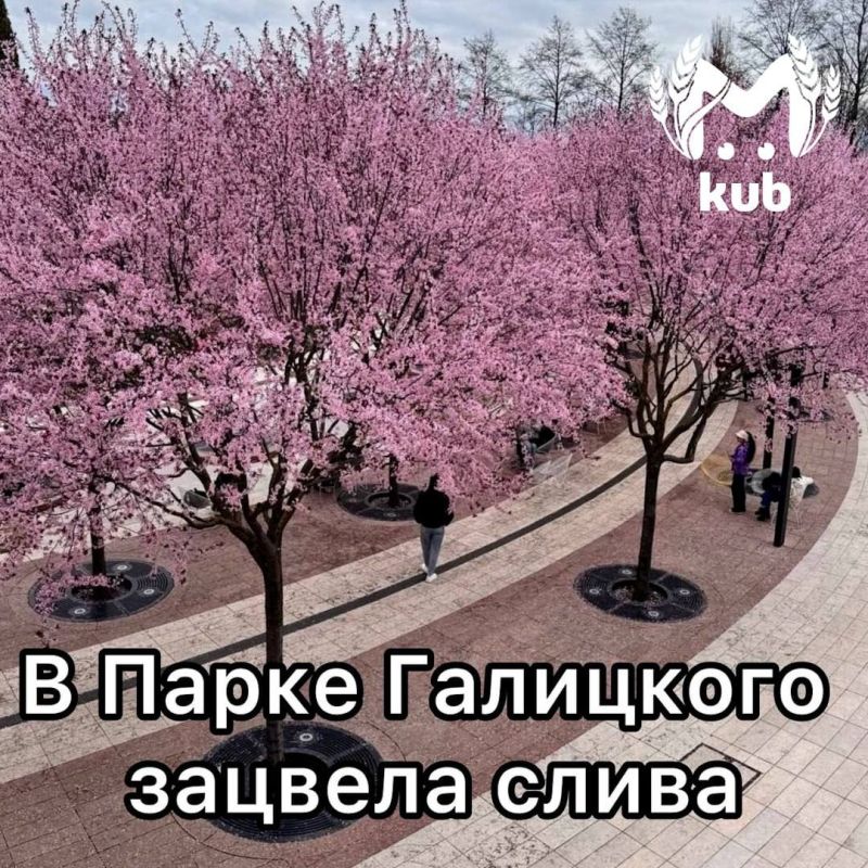 ���� ������� �������� � ������������� ����