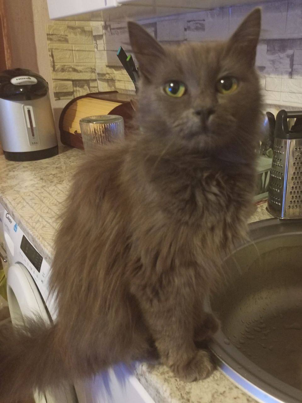 Доброе утро, Кубань!. Краснодар +16 °С Доброе утро, Кубань!. Краснодар +16 °С