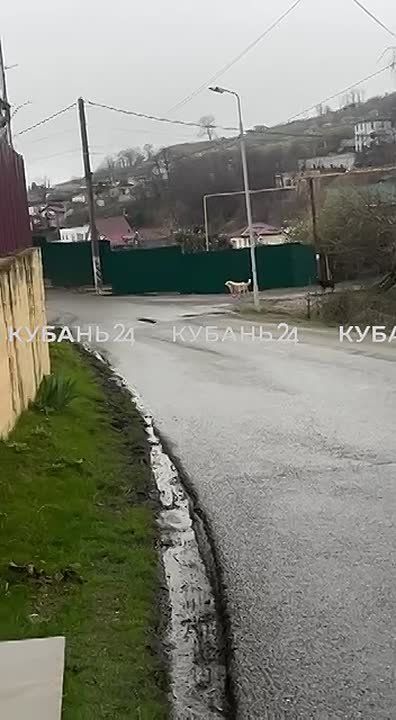 ��������� �������� ����� �� ������� � �������� � ���� ��������� �������
