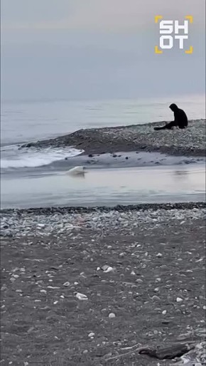 ���������� ���-����������, ��������� � �������� ����, ���� ����� ���