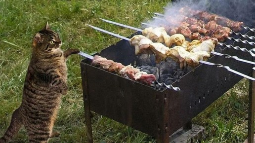 ������� ������������ ������ �� ������������ ���������� ������� �� ����