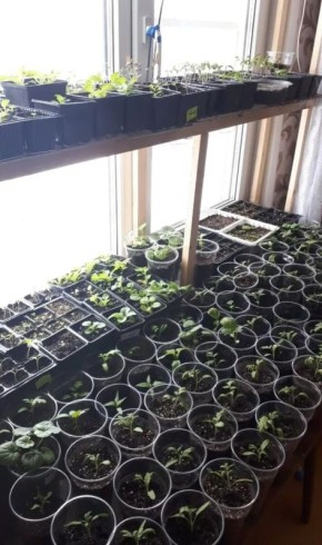 ��� �������� ������� ��� ��������� ����� ����� �������