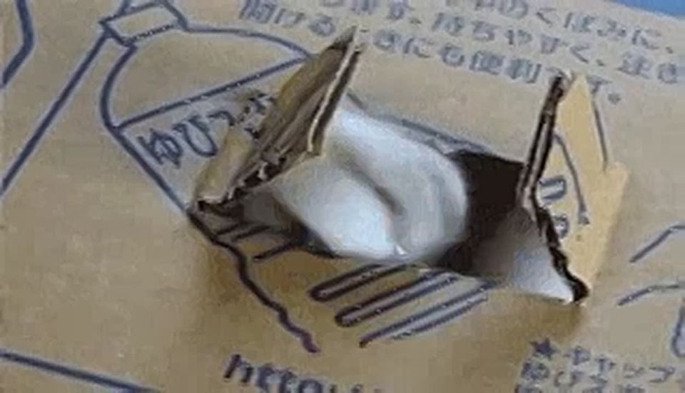 ������������ ������ ����� ����� �������� � ����� ����� ��� ��������
