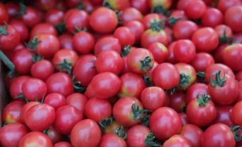 �� ����� ��������-������������� ����� ��������� ������� ��������� ���