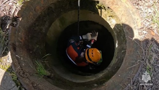 ������ �� ���� �����: ����� ��� ����� ������ �� �������