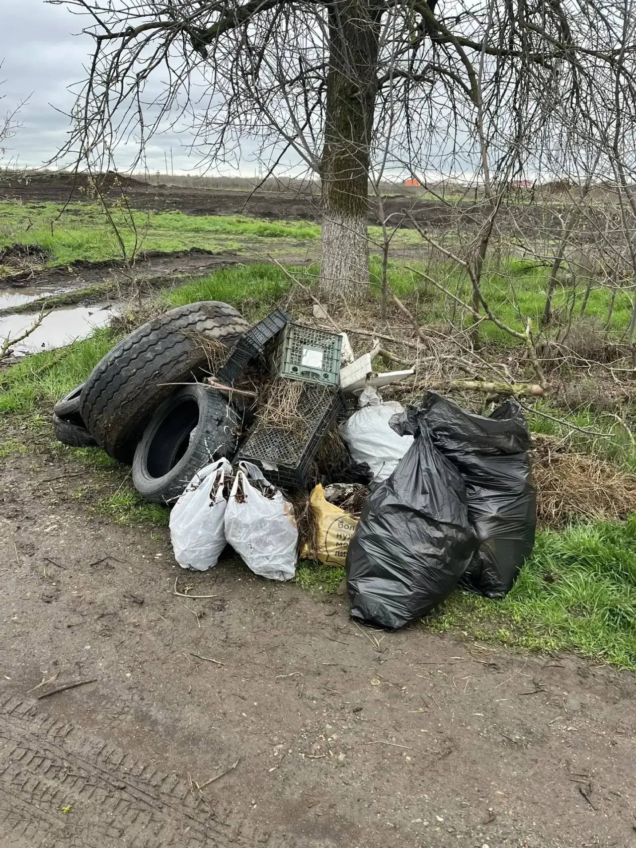Сегодня сотрудники городской администрации, подведомственных учреждений и организаций, представители общественного самоуправления приняли участие во Всекубанском субботнике и убрали территорию вдоль главного гостевого... Сегодня сотрудники городской администрации, подведомственных учреждений и организаций, представители общественного самоуправления приняли участие во Всекубанском субботнике и убрали территорию вдоль главного гостевого...