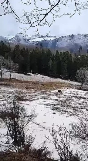 ������, ��� ������� �����-��������?