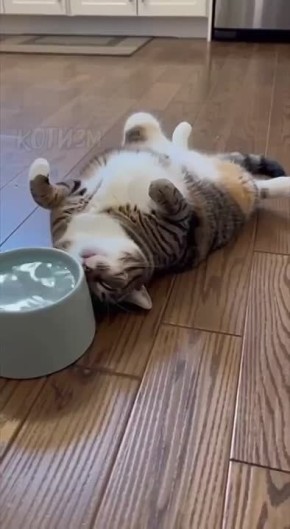 Вечер субботы он такой.... Мы в MAX