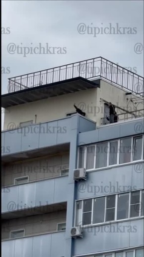 Холодят кровь. Жительница Краснодара сняла тревожное видео: в ЖК «Оникс» дети лазают по крышам