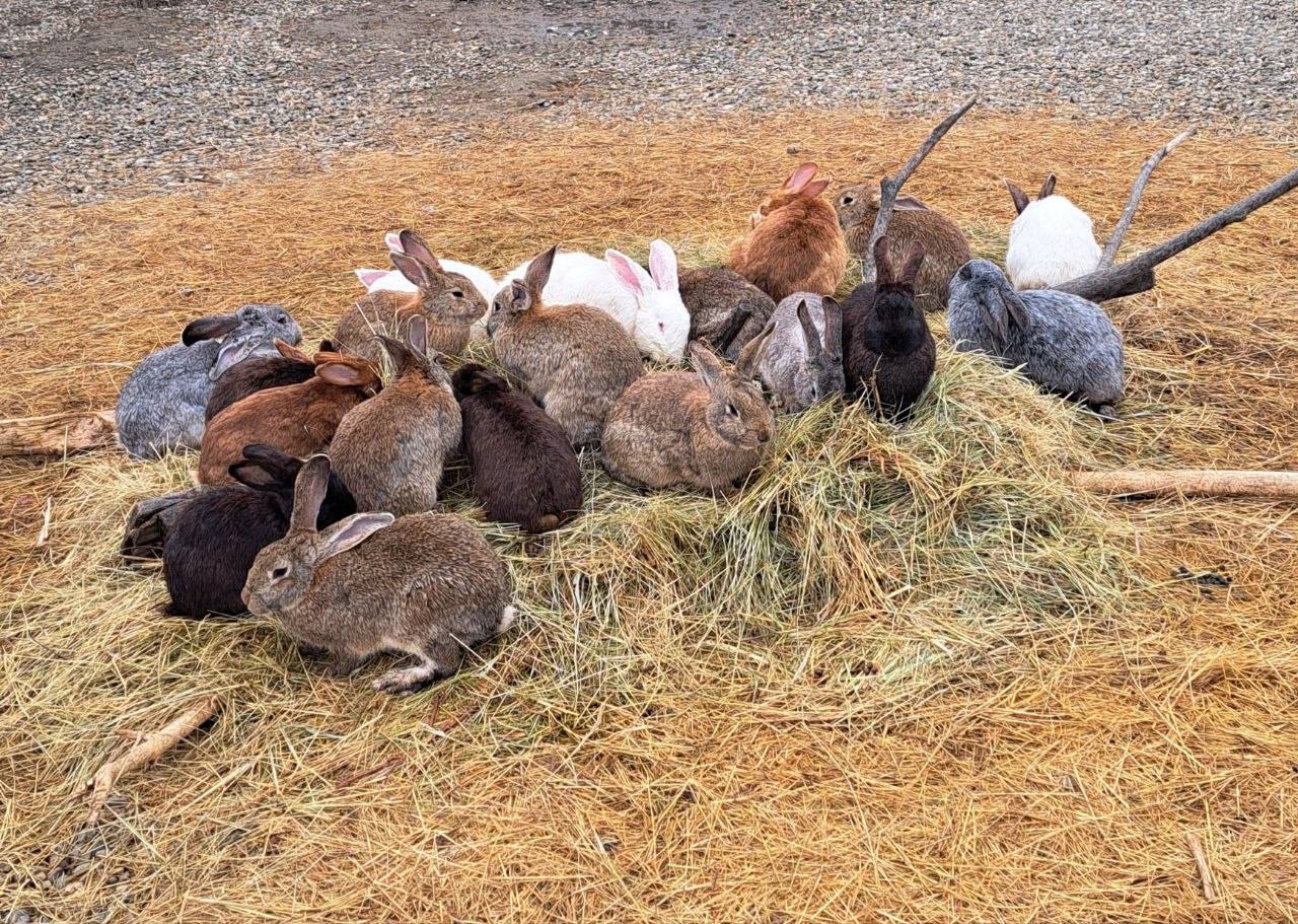 О погоде на 5 апреля . В Краснодарском крае переменная облачность О погоде на 5 апреля . В Краснодарском крае переменная облачность