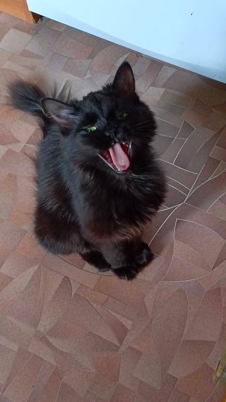 О погоде на 5 апреля . В Краснодарском крае переменная облачность О погоде на 5 апреля . В Краснодарском крае переменная облачность