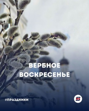 Смысл, символы и традиции Вербного воскресенья