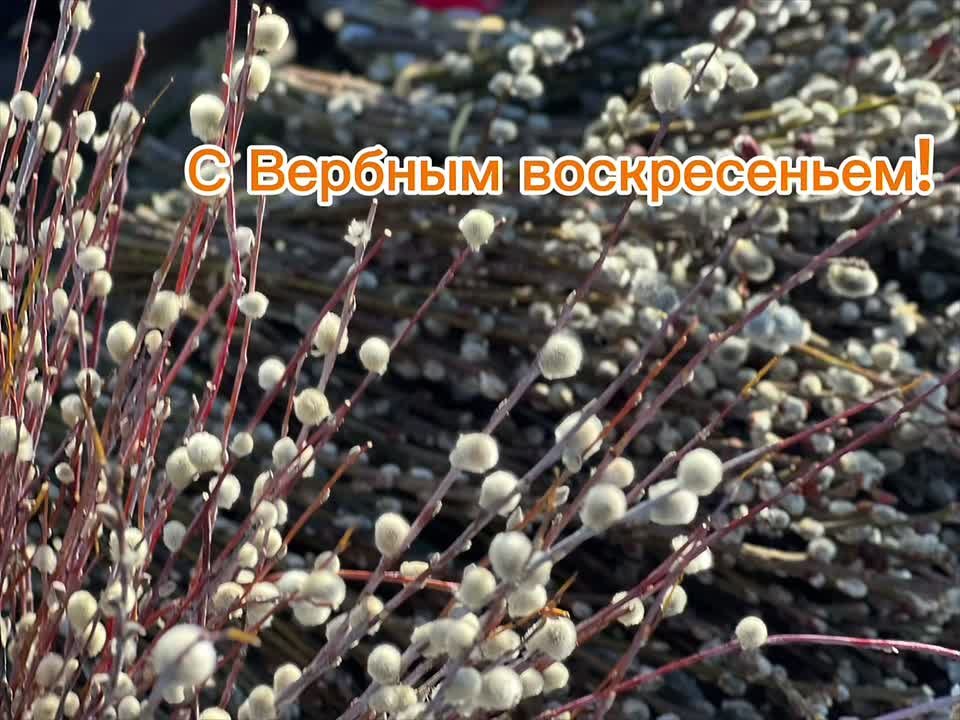 Евгений Наумов: Поздравляю всех православных краснодарцев с Вербным воскресеньем!