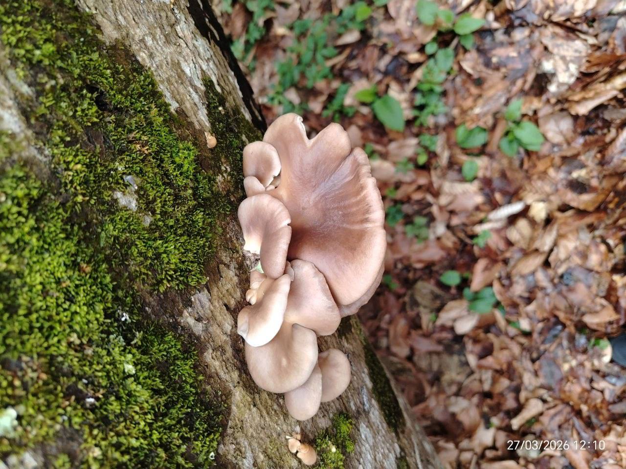 О погоде на 5 апреля . В Краснодарском крае переменная облачность