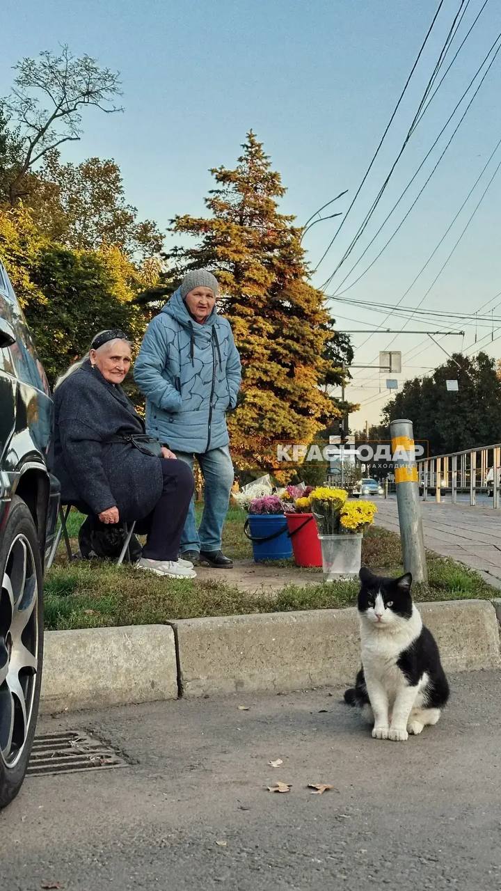 Продолжаем нашу ежедневную рубрику «Краснокадр»