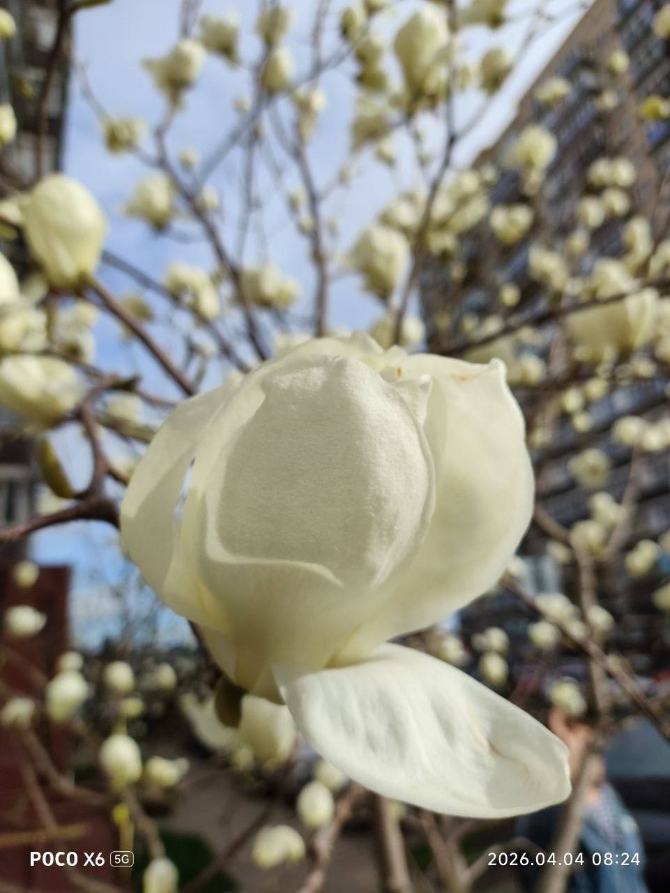 О погоде на 5 апреля . В Краснодарском крае переменная облачность О погоде на 5 апреля . В Краснодарском крае переменная облачность